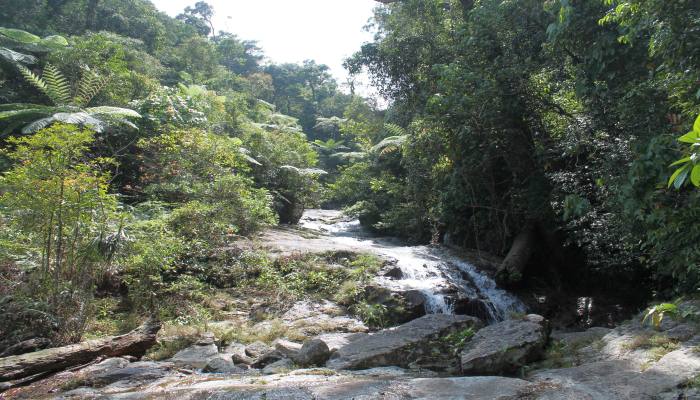 wasserfälle süden thailand dschungel trekking