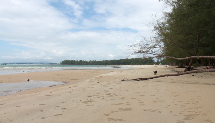 nai yang beach phuket