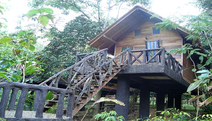 khao sok nature resort baumhaus